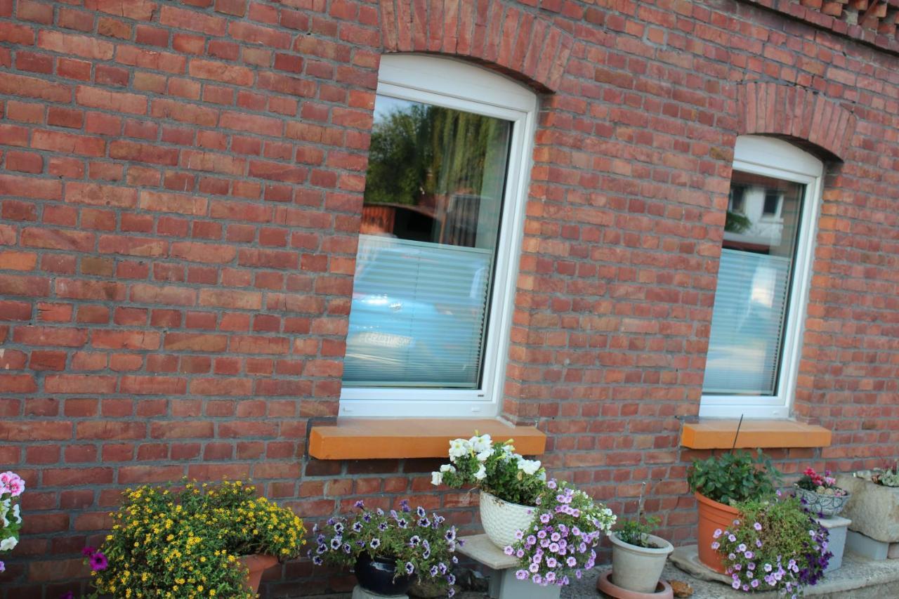 Apartment Hanske Isenbüttel Екстериор снимка
